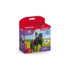 Horse Club - Tori & Princess