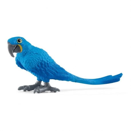 Ara Schleich