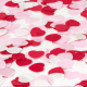 Confettis de bain - Coeurs tricolores