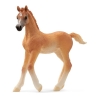 Poulain arabe Schleich