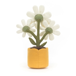 Amuseable -  Daisy Marguerite