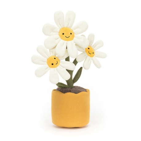 Amuseable -  Daisy Marguerite
