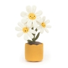 Amuseable -  Daisy Marguerite
