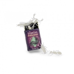 Les petites merveilles - Les insectes phosphorescents