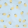 Lot de 2 pochettes pour snack - Happy Fruits Citron