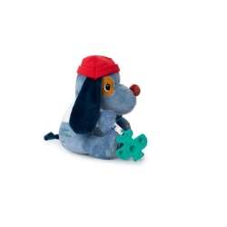 Chien multi-activités - Jules
